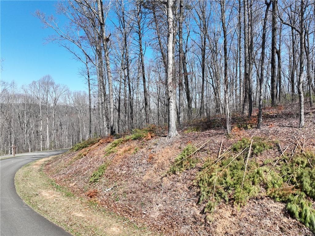 single family residence for sale at 180 Trailwood Drive, Ellijay, GA 30536 — photo 8