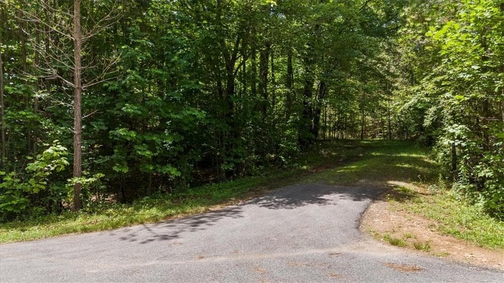 single family residence for sale at Lot 60 Meadow Brooke Drive, Young Harris, GA 30582 — photo 4