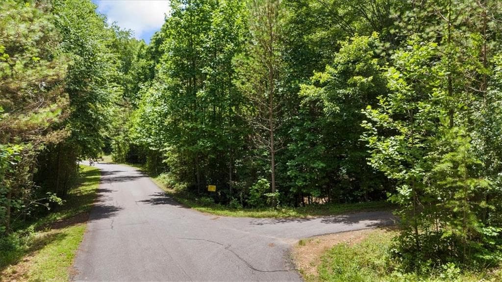 single family residence for sale at Lot 60 Meadow Brooke Drive, Young Harris, GA 30582 — photo 5