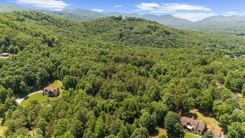single family residence for sale at Lot 60 Meadow Brooke Drive, Young Harris, GA 30582 — photo 6