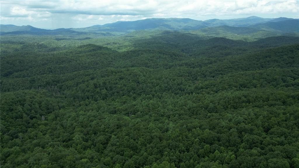single family residence for sale at Lot 14 Oceola Drive, Ellijay, GA 30540 — photo 1 of 9