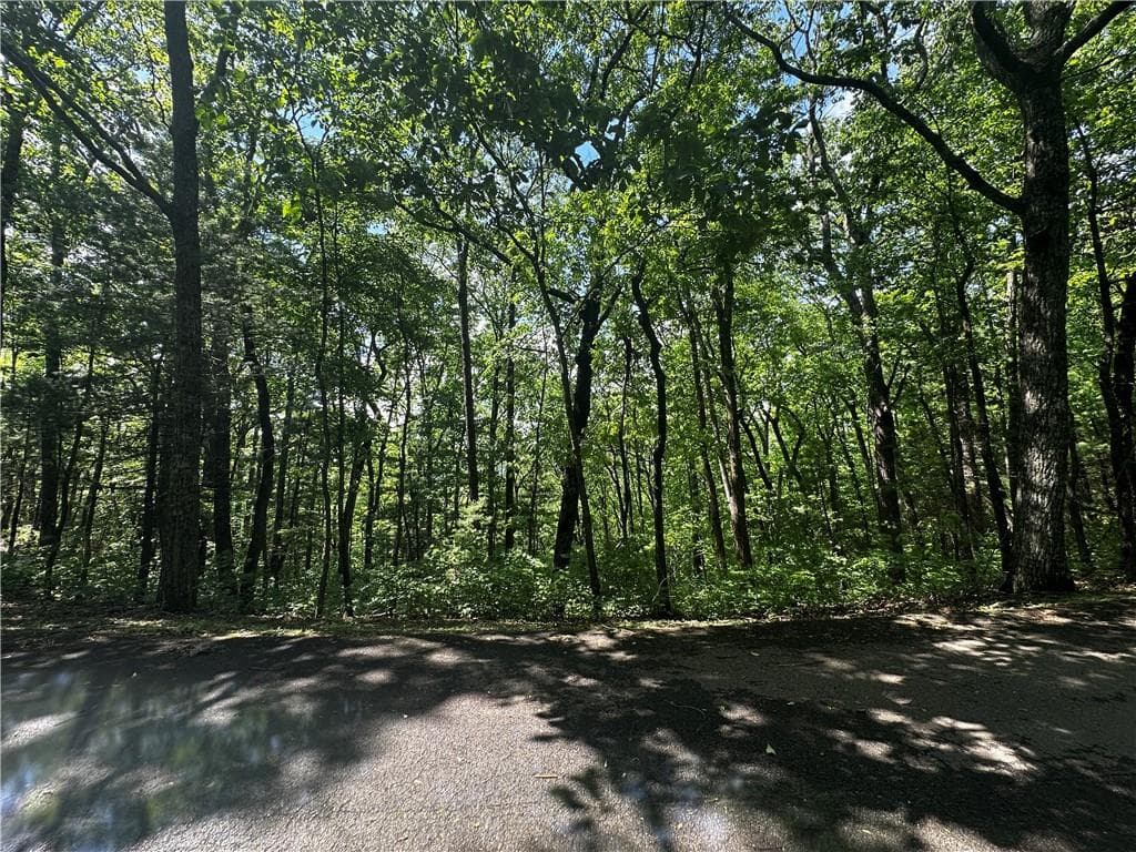 single family residence for sale at Lot 14 Oceola Drive, Ellijay, GA 30540 — photo 8