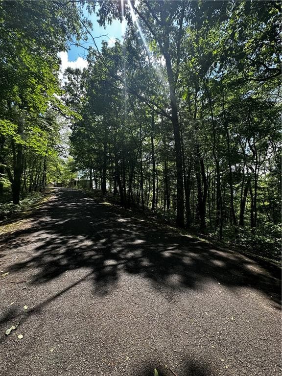single family residence for sale at Lot 14 Oceola Drive, Ellijay, GA 30540 — photo 9