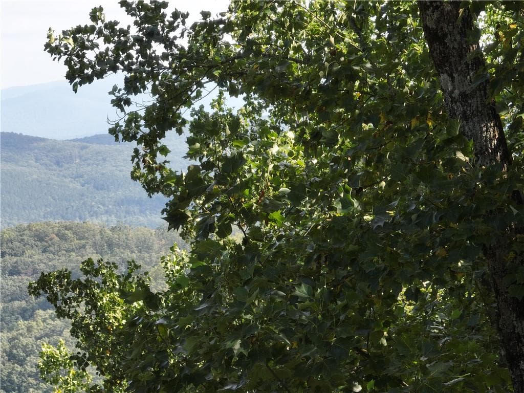 single family residence for sale at 280 Andes Ridge, Ellijay, GA 30536 — photo 7