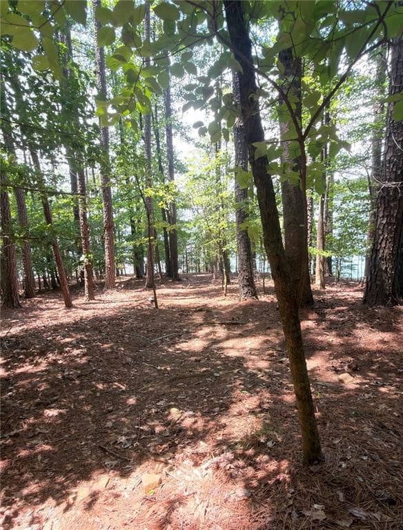 single family residence for sale at 1739 Green Road, Buford, GA 30518 — photo 4