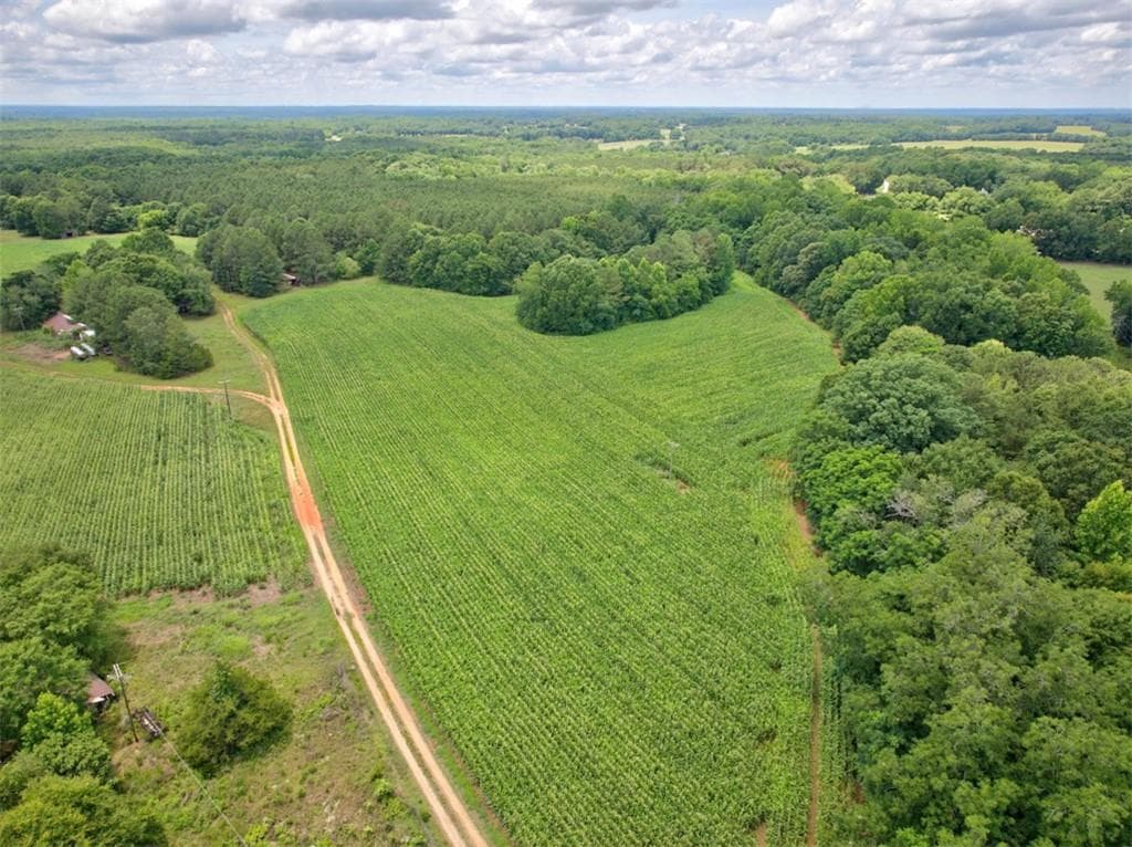 other for sale at 00 Marks Road, Mansfield, GA 30055 — photo 7