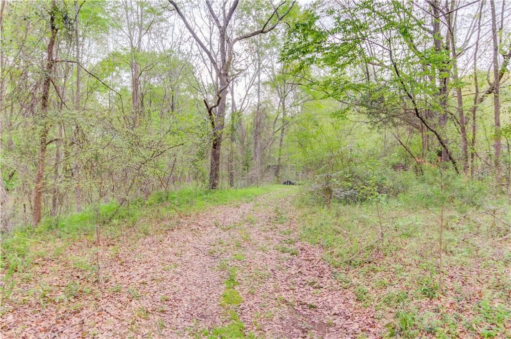 unimproved land for sale at 194 Highway 82, Jefferson, GA 30549 — photo 10