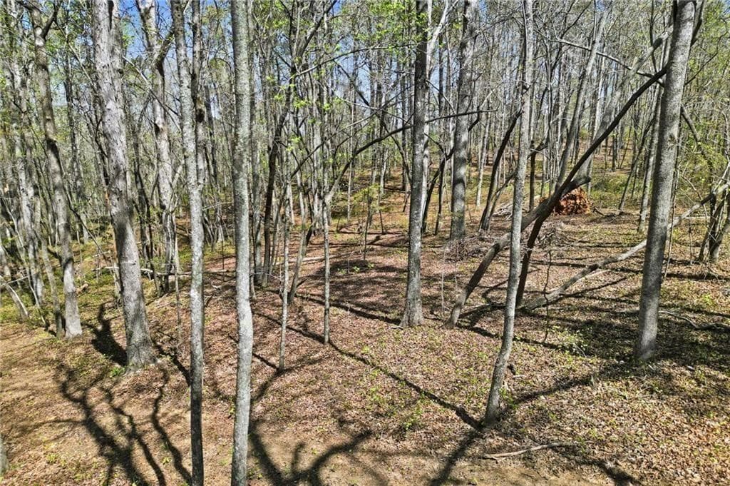 single family residence for sale at 3094 Flatbottom Road, Ball Ground, GA 30107