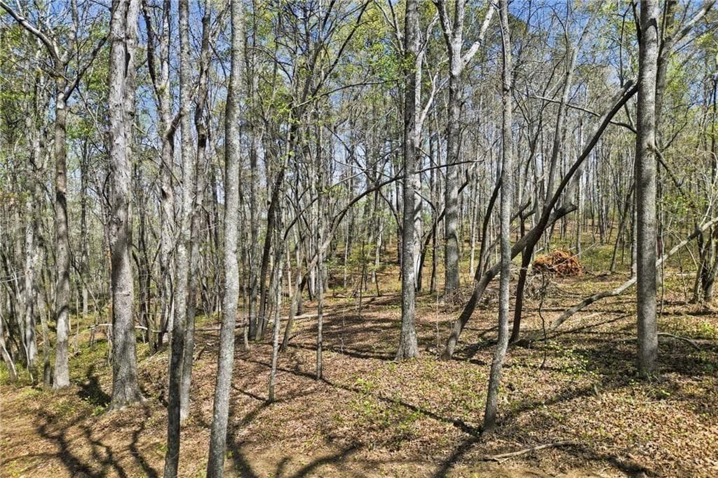 single family residence for sale at 129 Heritage Plantation Drive, Ball Ground, GA 30107