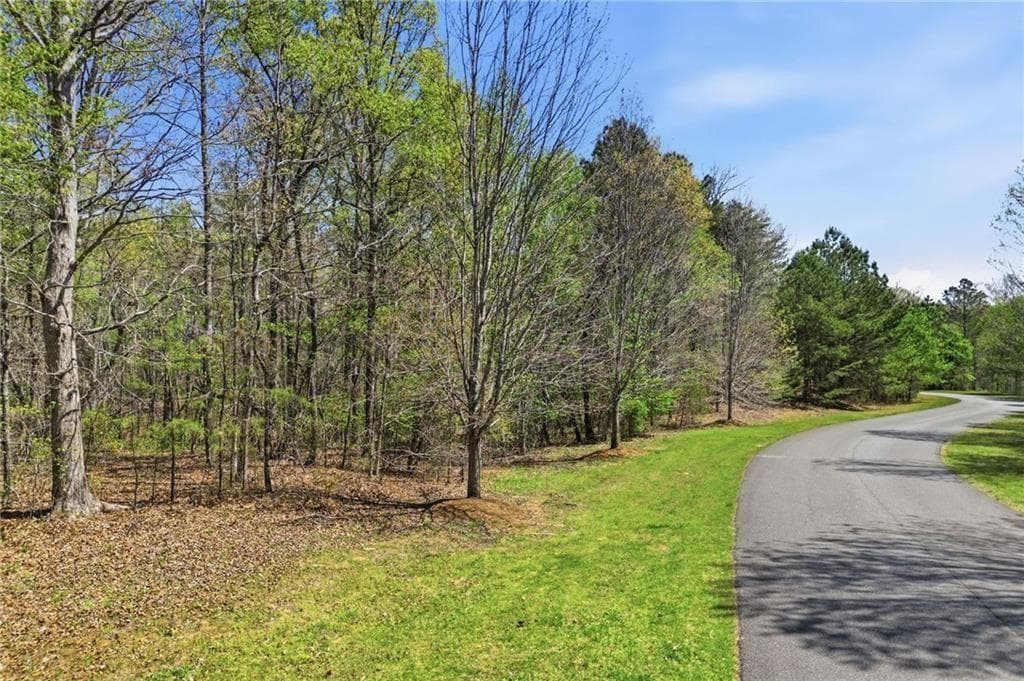 single family residence for sale at 125 Heritage Plantation Drive, Ball Ground, GA 30107 — photo 4