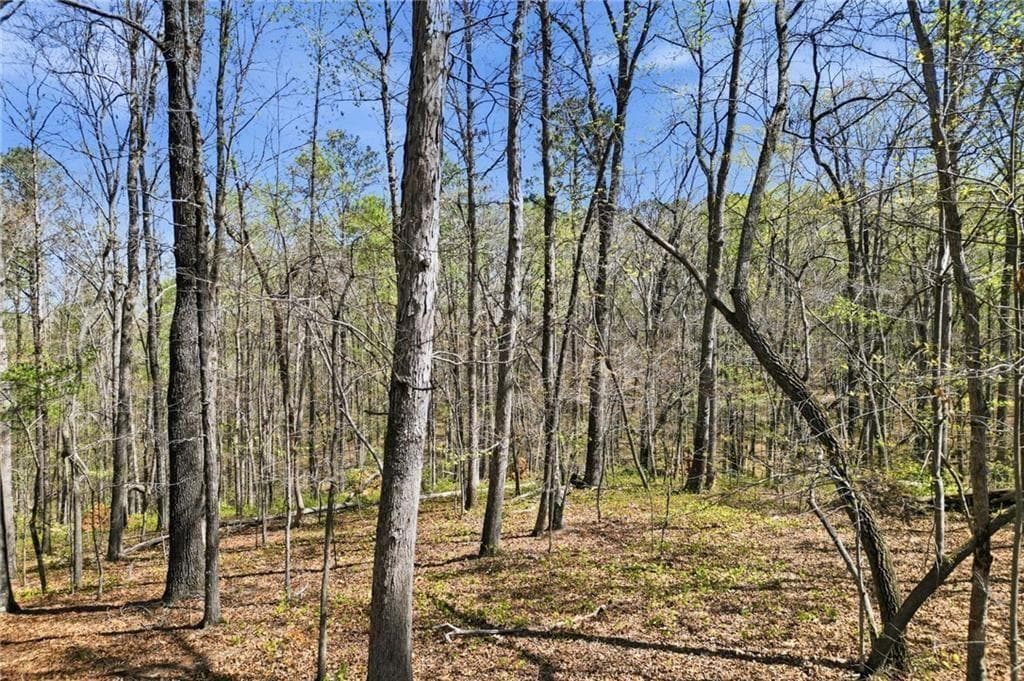single family residence for sale at 125 Heritage Plantation Drive, Ball Ground, GA 30107 — photo 5