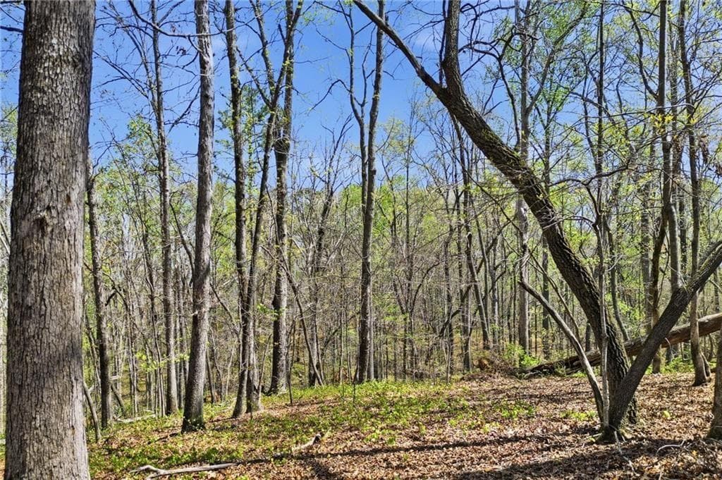 single family residence for sale at 121 Heritage Plantation Drive, Ball Ground, GA 30107
