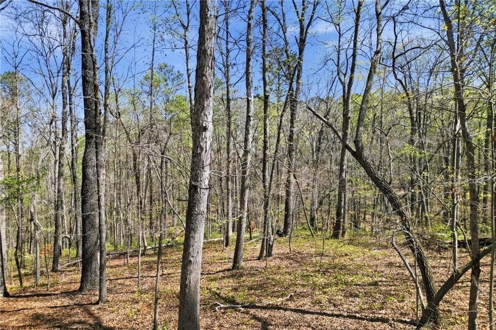 single family residence for sale at 121 Heritage Plantation Drive, Ball Ground, GA 30107 — photo 5