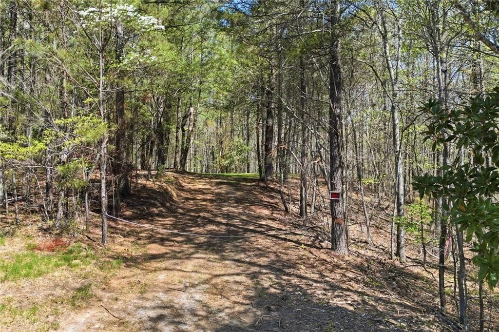 single family residence for sale at 121 Heritage Plantation Drive, Ball Ground, GA 30107 — photo 8