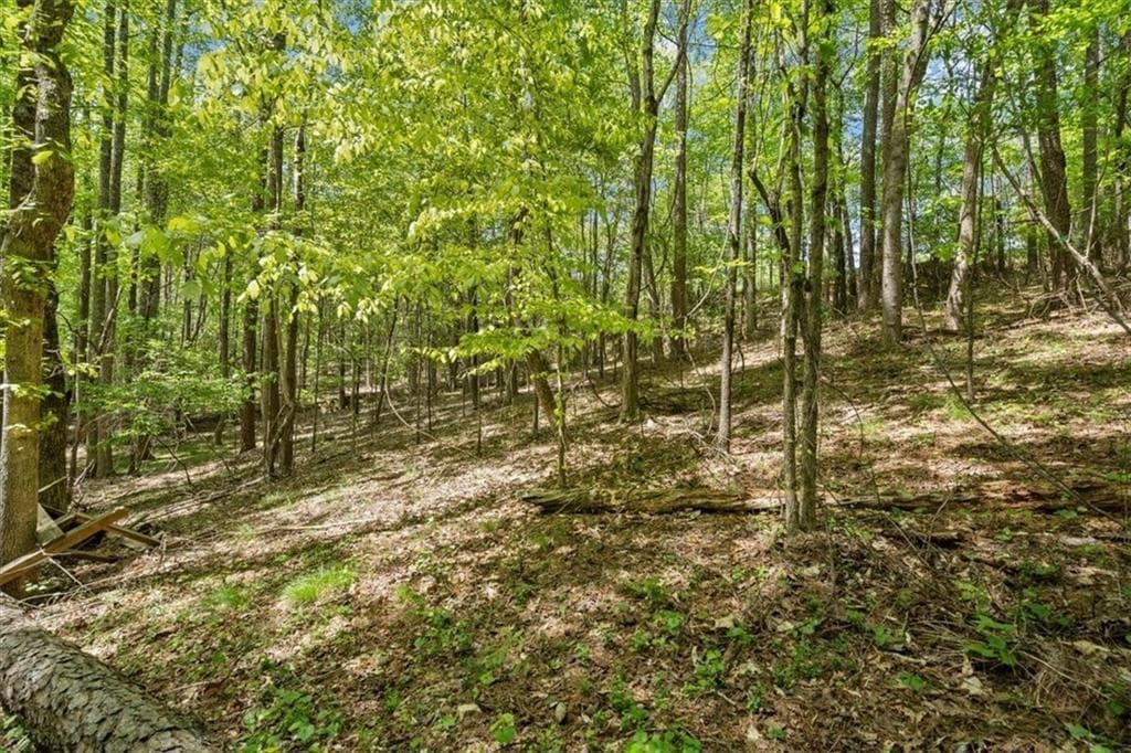 4 bedroom, 3 bathroom unimproved land for sale at 16160 Henderson Road, Alpharetta, GA 30004 — photo 6