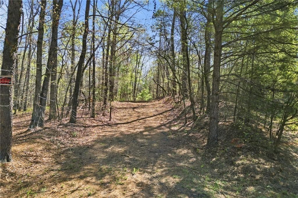 single family residence for sale at 117 Heritage Plantation Drive, Ball Ground, GA 30107 — photo 8
