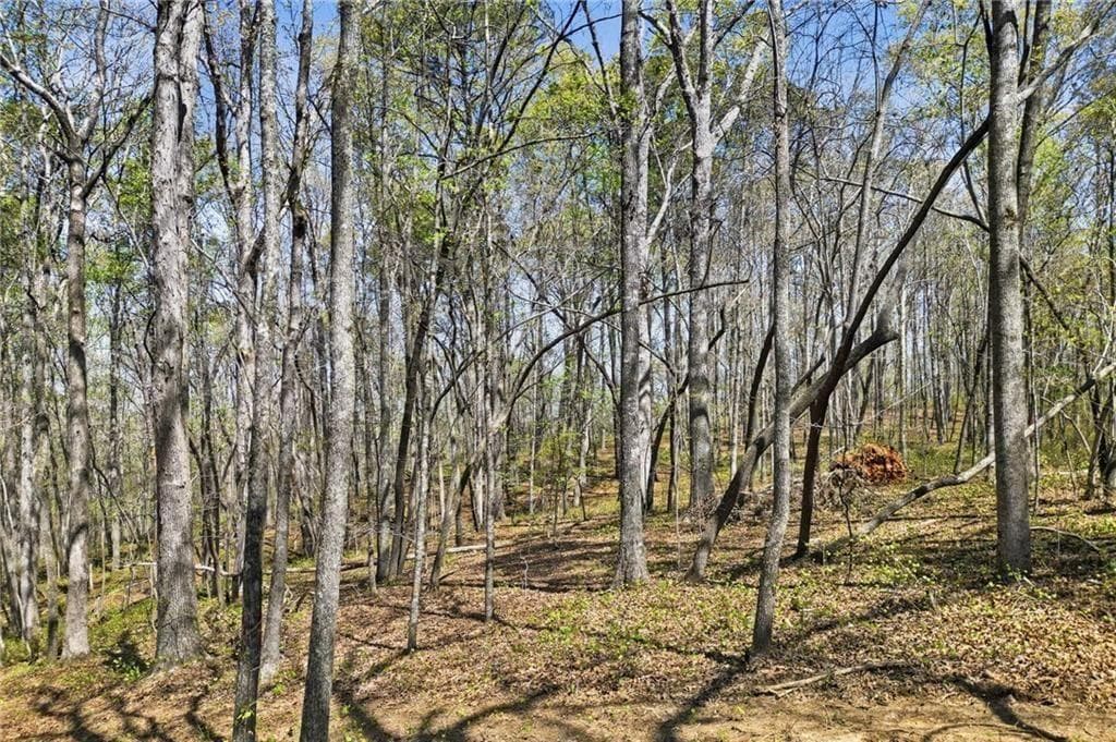 single family residence for sale at 109 Heritage Plantation Drive, Ball Ground, GA 30107 — photo 7