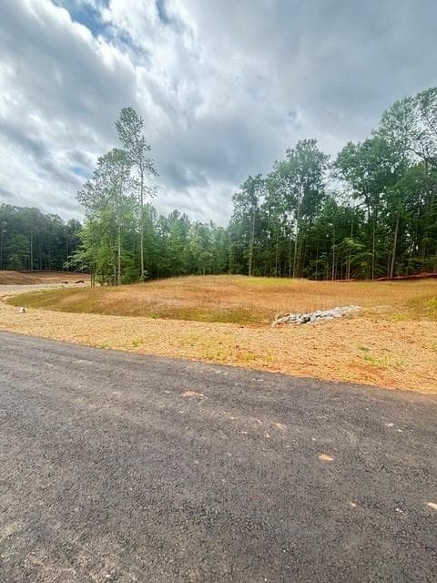 5 bedroom, 4 bathroom, 2,944 sq ft single family residence for sale at 211 Suncroft (LOT 24) Way, Woodstock, GA 30188 — photo 5