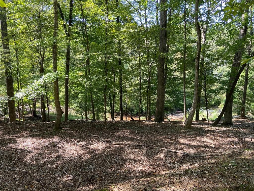 unimproved land for sale at 102 Forest Place, Forsyth, GA 31029 — photo 6