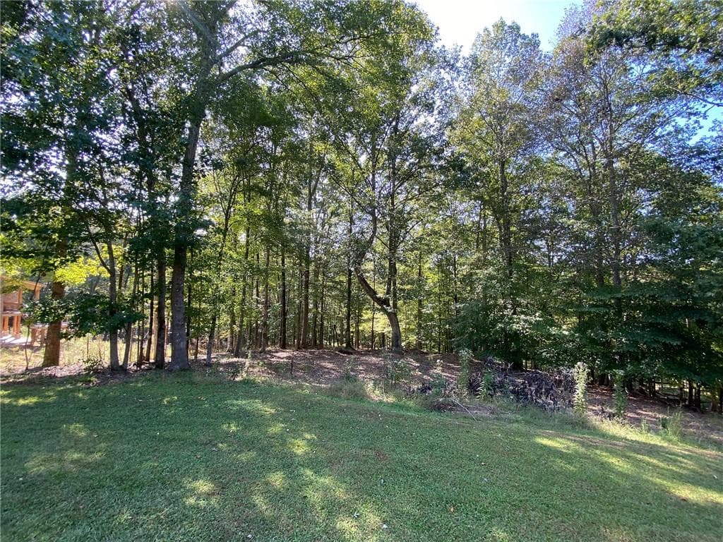 unimproved land for sale at 102 Forest Place, Forsyth, GA 31029 — photo 8