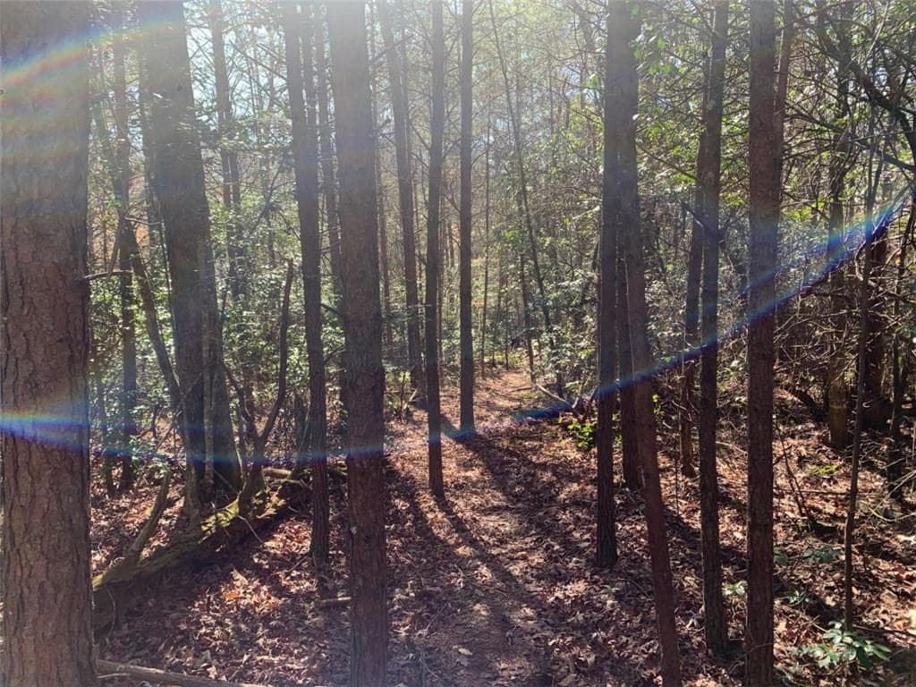 single family residence for sale at 0 East New Hope Road, Ellijay, GA 30536 — photo 2