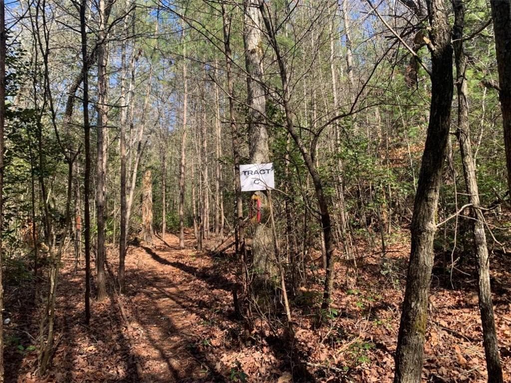 single family residence for sale at 0 East New Hope Road, Ellijay, GA 30536 — photo 4