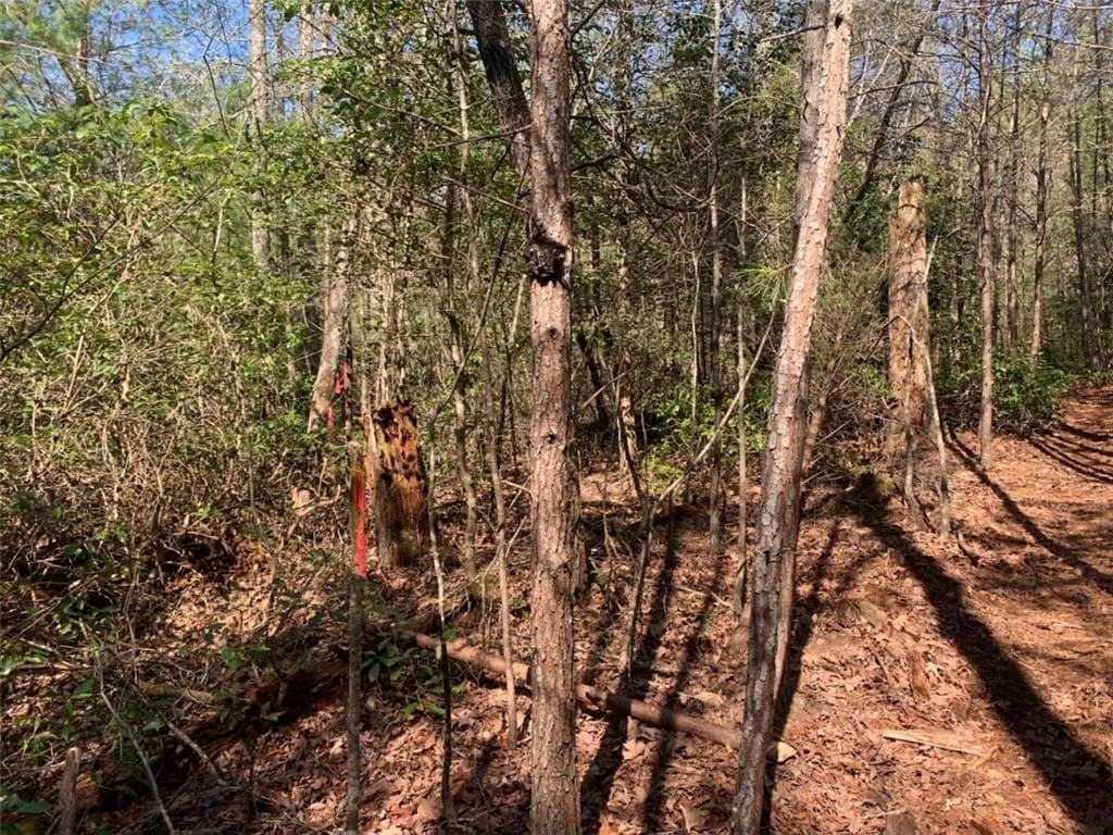 single family residence for sale at 0 East New Hope Road, Ellijay, GA 30536 — photo 5