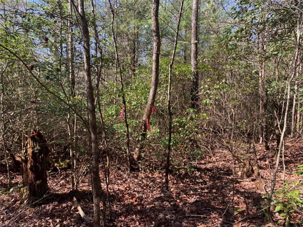 single family residence for sale at 0 East New Hope Road, Ellijay, GA 30536 — photo 6