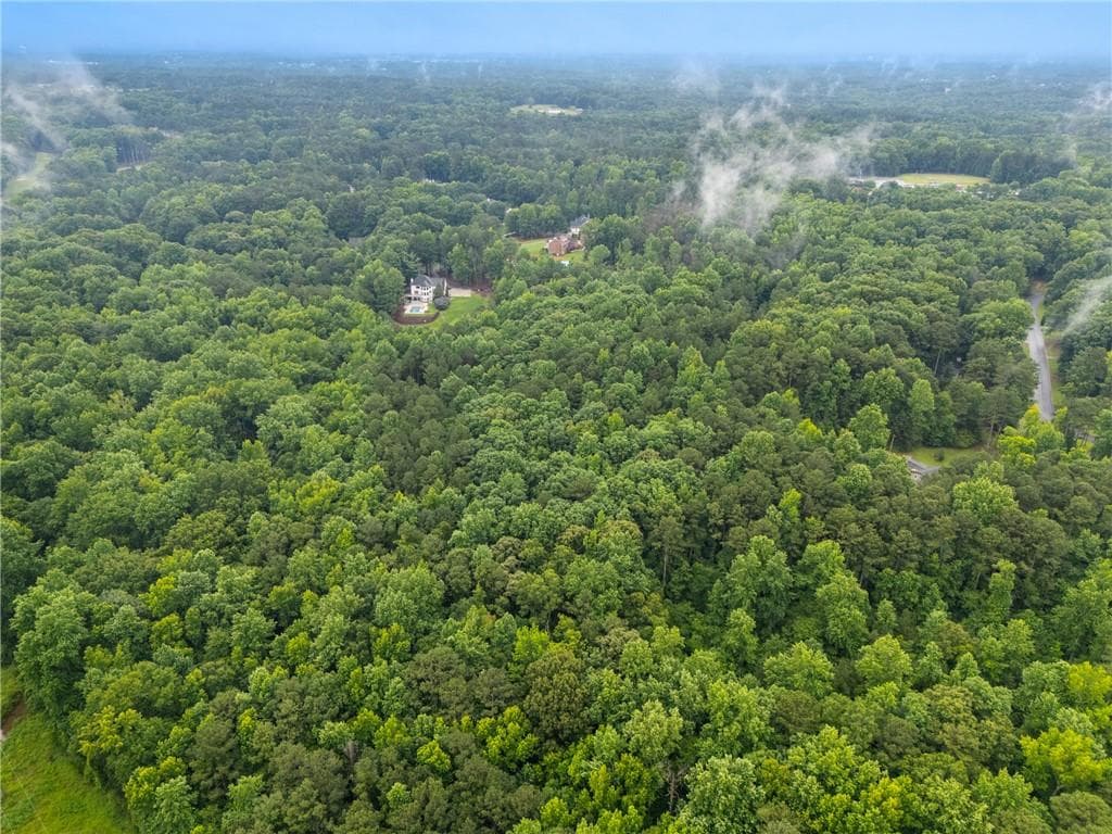 unimproved land for sale at 151 Melvin Phillips Road, Newnan, GA 30263 — photo 5