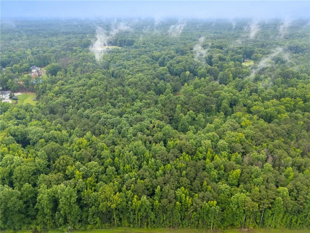unimproved land for sale at 151 Melvin Phillips Road, Newnan, GA 30263 — photo 6