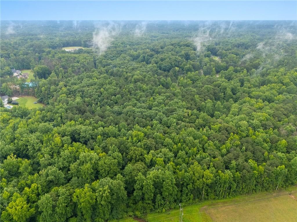 unimproved land for sale at 151 Melvin Phillips Road, Newnan, GA 30263 — photo 7