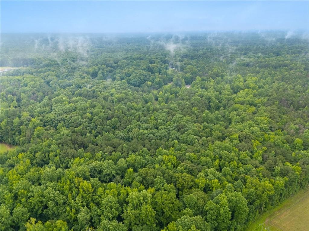 unimproved land for sale at 151 Melvin Phillips Road, Newnan, GA 30263 — photo 8