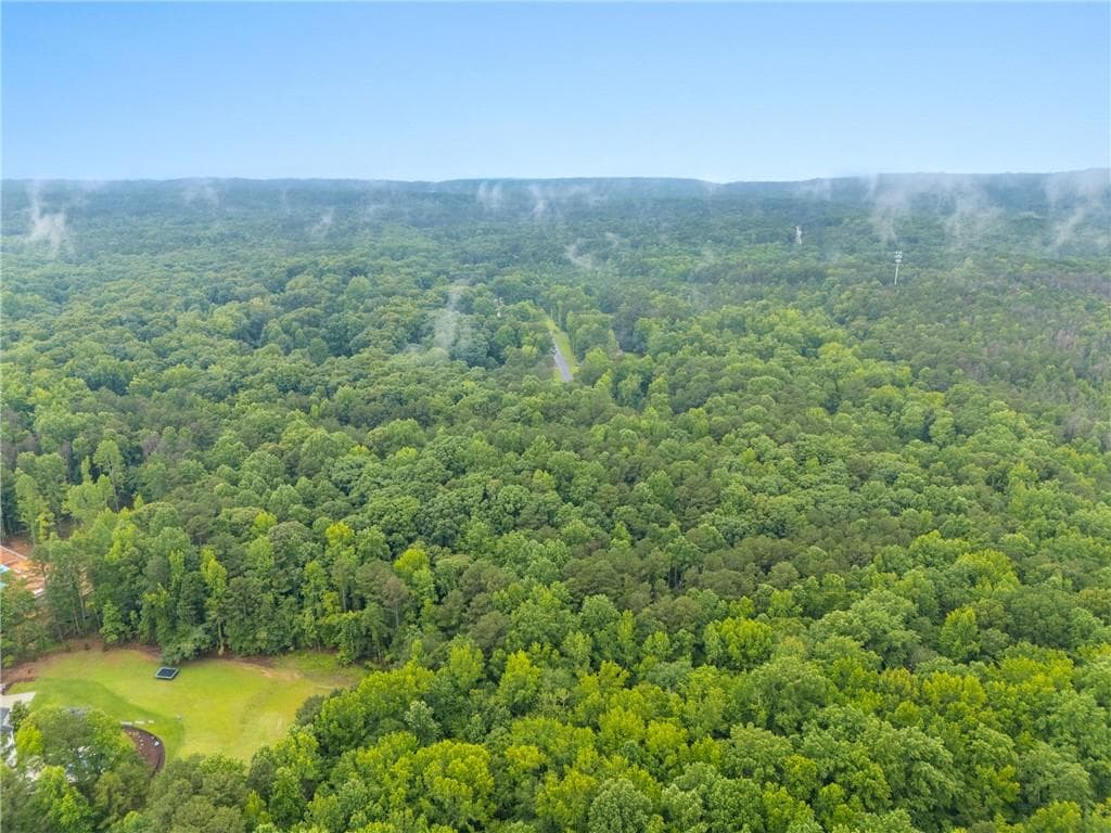 unimproved land for sale at 151 Melvin Phillips Road, Newnan, GA 30263 — photo 9
