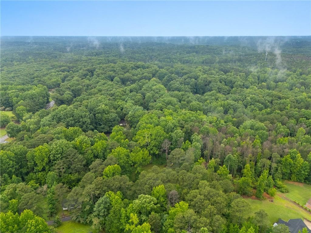 unimproved land for sale at 151 Melvin Phillips Road, Newnan, GA 30263 — photo 10