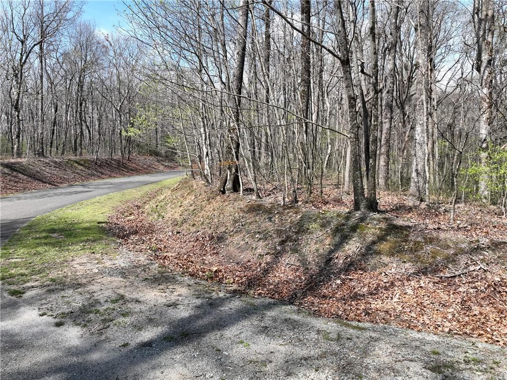 single family residence for sale at 189 St Andrews Way, Ellijay, GA 30536 — photo 6