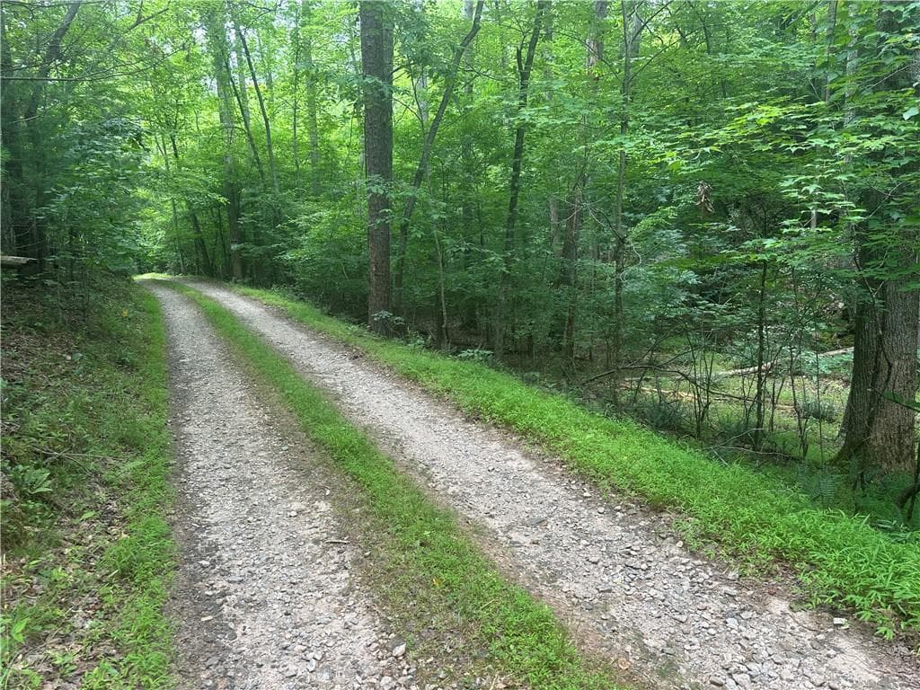 single family residence for sale at TRACT1 New Bethel Ch Road, Dawsonville, GA 30534 — photo 2