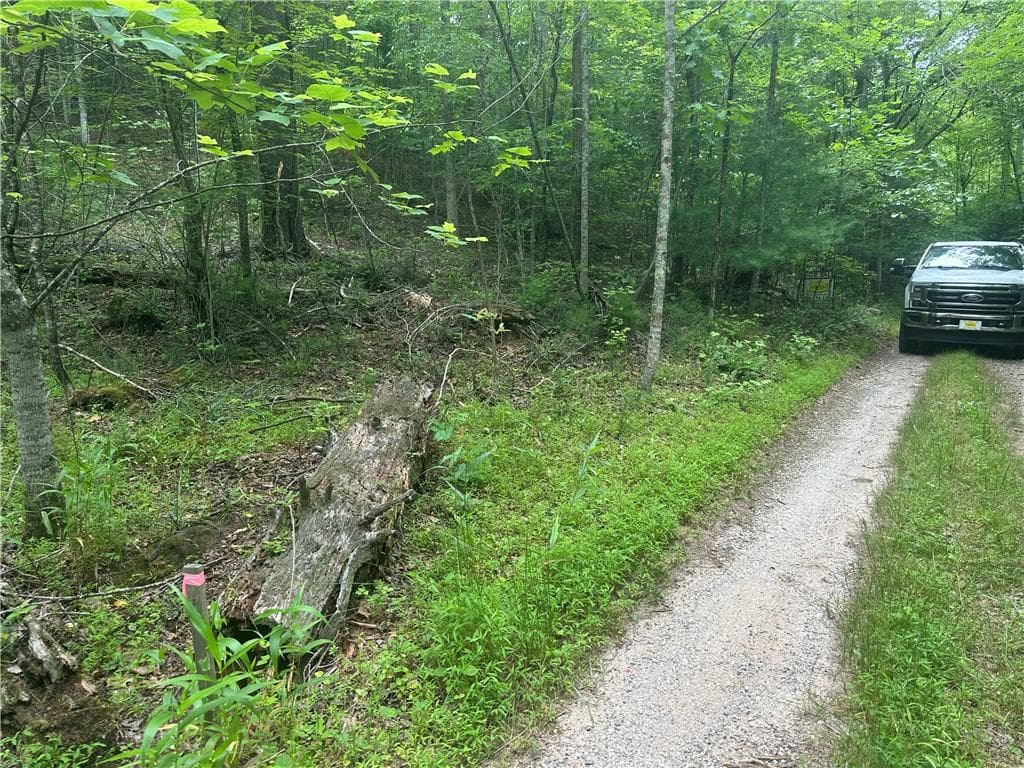 single family residence for sale at TRACT1 New Bethel Ch Road, Dawsonville, GA 30534 — photo 4
