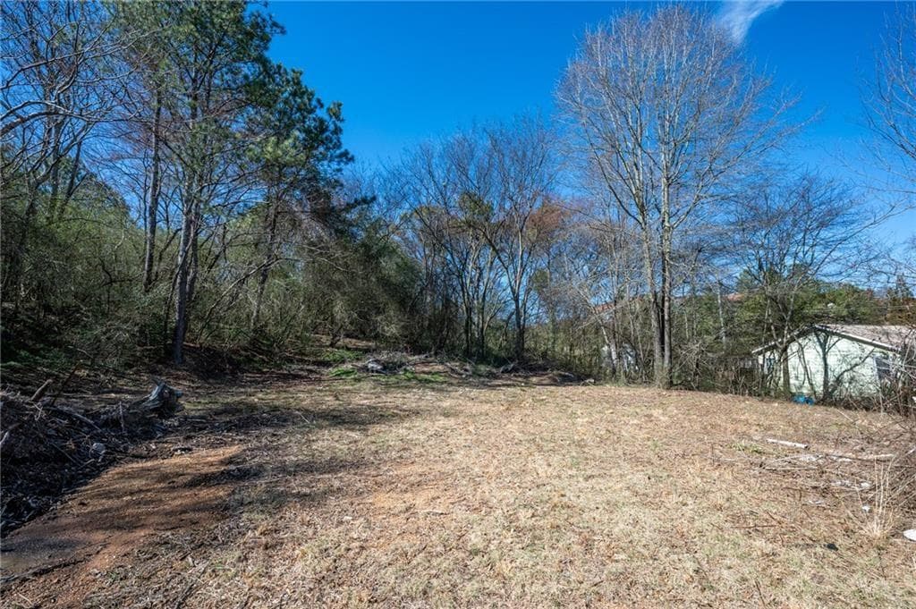 unimproved land for sale at 0 Highway 53 Spur SW, Calhoun, GA 30701 — photo 4