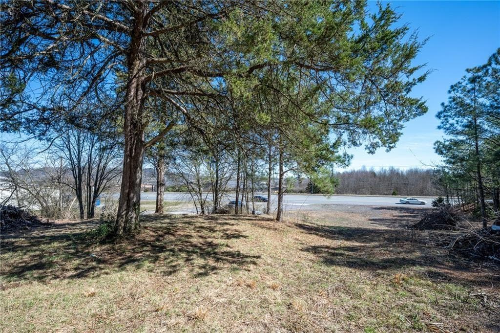 unimproved land for sale at 0 Highway 53 Spur SW, Calhoun, GA 30701 — photo 7