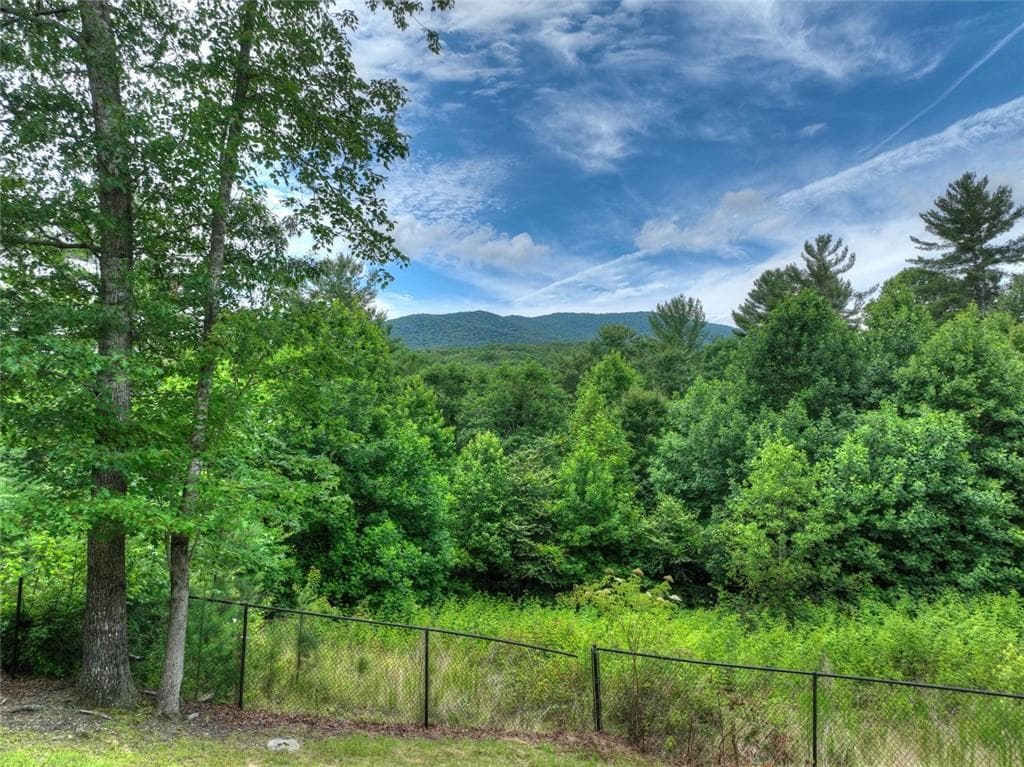 5 bedroom, 4 bathroom, 5,970 sq ft single family residence for sale at 95 Laughing Bird Lane, Ellijay, GA 30536 — photo 4