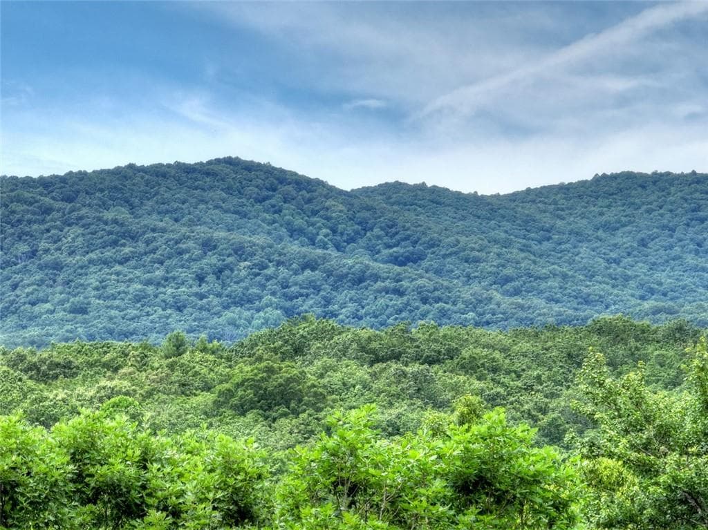 5 bedroom, 4 bathroom, 5,970 sq ft single family residence for sale at 95 Laughing Bird Lane, Ellijay, GA 30536 — photo 5