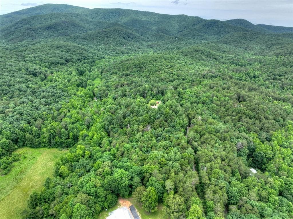 5 bedroom, 4 bathroom, 5,970 sq ft single family residence for sale at 95 Laughing Bird Lane, Ellijay, GA 30536 — photo 6