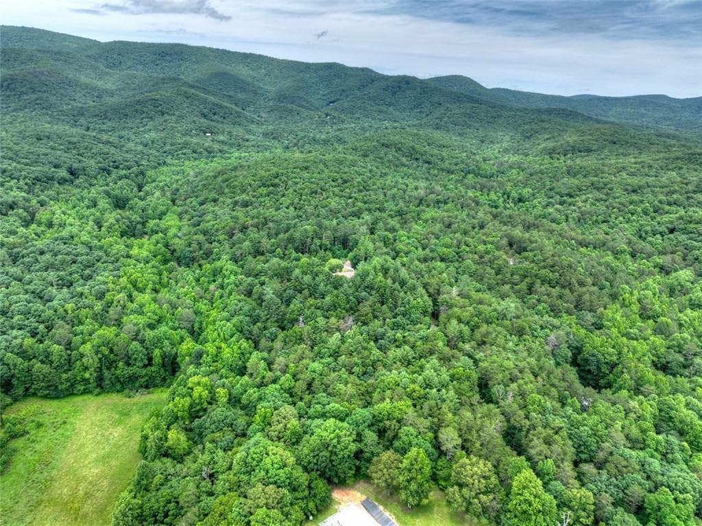 5 bedroom, 4 bathroom, 5,970 sq ft single family residence for sale at 95 Laughing Bird Lane, Ellijay, GA 30536 — photo 7
