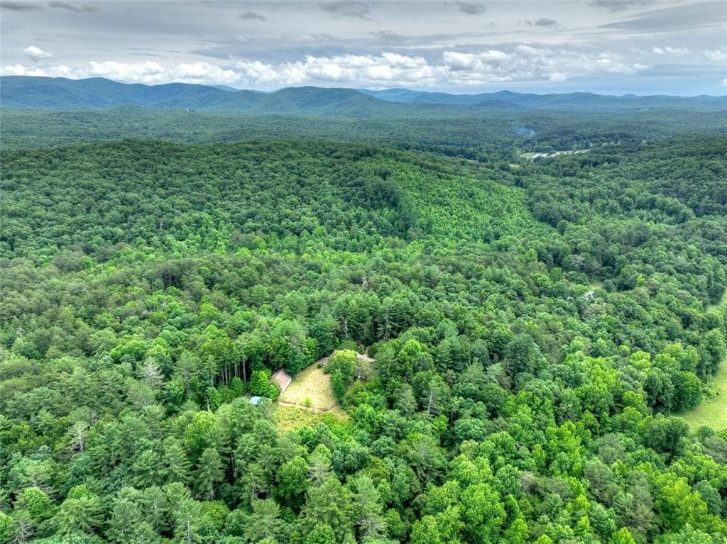5 bedroom, 4 bathroom, 5,970 sq ft single family residence for sale at 95 Laughing Bird Lane, Ellijay, GA 30536 — photo 8