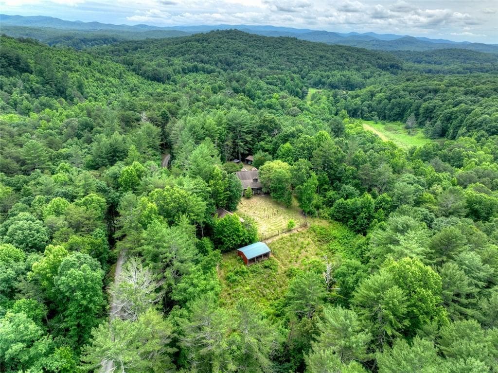 5 bedroom, 4 bathroom, 5,970 sq ft single family residence for sale at 95 Laughing Bird Lane, Ellijay, GA 30536 — photo 10