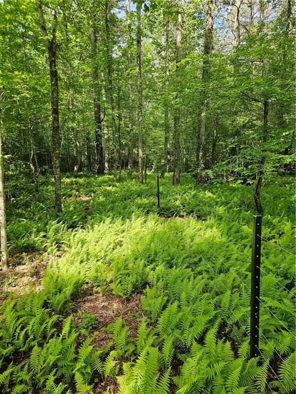 other for sale at 6480 Highway 52, Dahlonega, GA 30533 — photo 3