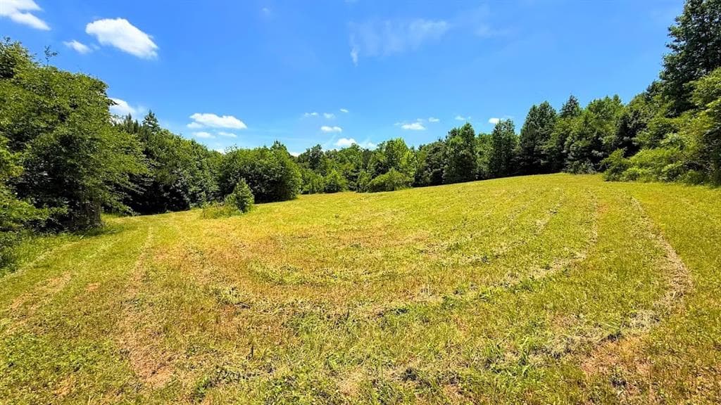 other for sale at 0 Nix Road, Bremen, GA 30110