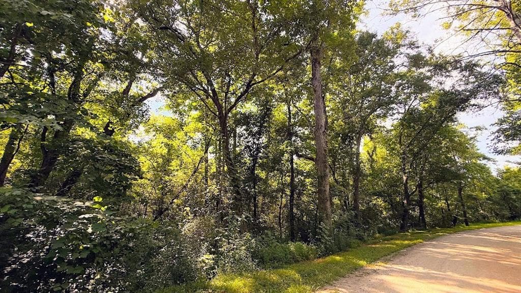 other for sale at 0 Nix Road, Bremen, GA 30110 — photo 4