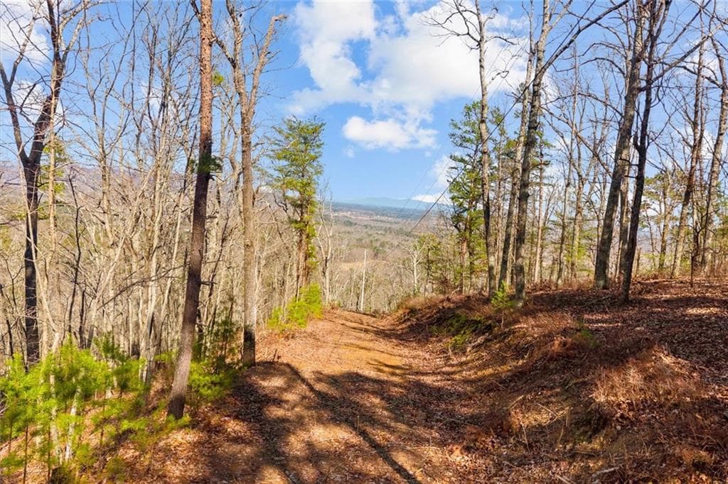 unimproved land for sale at 571 Deerfield Lane, Sugar Valley, GA 30746 — photo 1 of 21