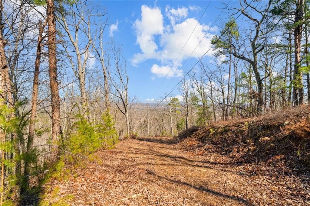 unimproved land for sale at 571 Deerfield Lane, Sugar Valley, GA 30746 — photo 2